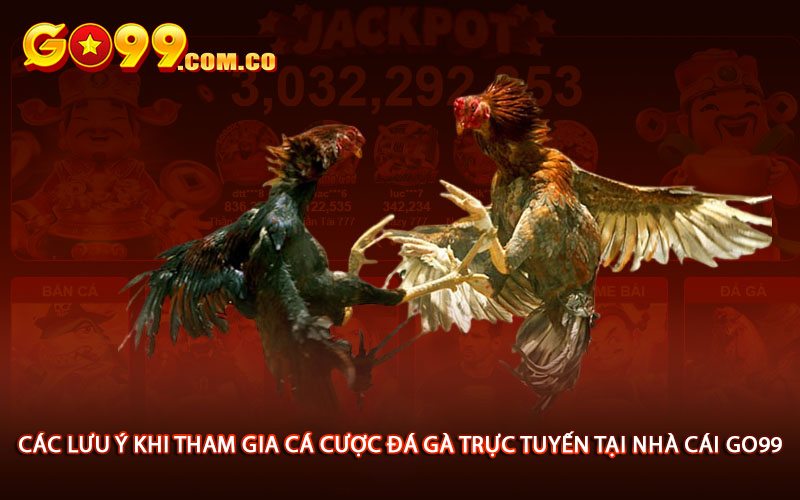 Các lưu ý khi tham gia cá cược đá gà trực tuyến tại nhà cái go99